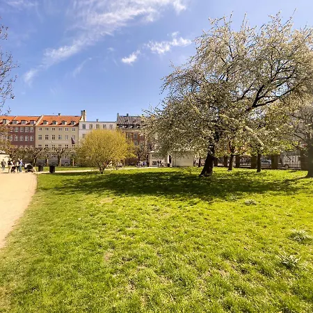 Spacious In The Heart Of Apartment Copenhagen
